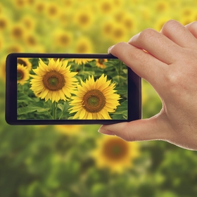 SmartPhoneBlogPhoto1